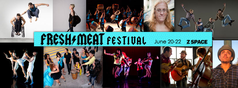 2013 Fresh Meat Festival banner